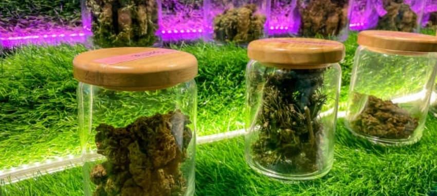 e cigaretta liquid Top Auswahl für Dampfer und Tipps zur richtigen Nutzung von e cigaretta liquid