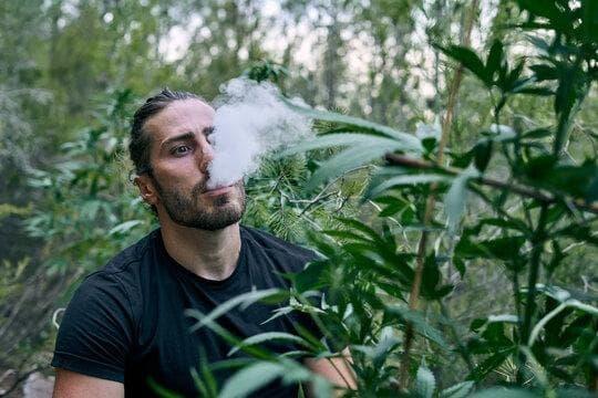 Entdecken Sie die Vorteile der Veev One E Zigarette mit Veev One E Zigarette für ein besseres Dampferlebnis